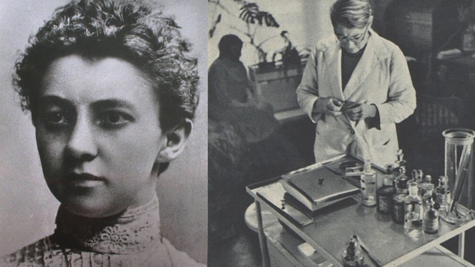 Anna Honzáková