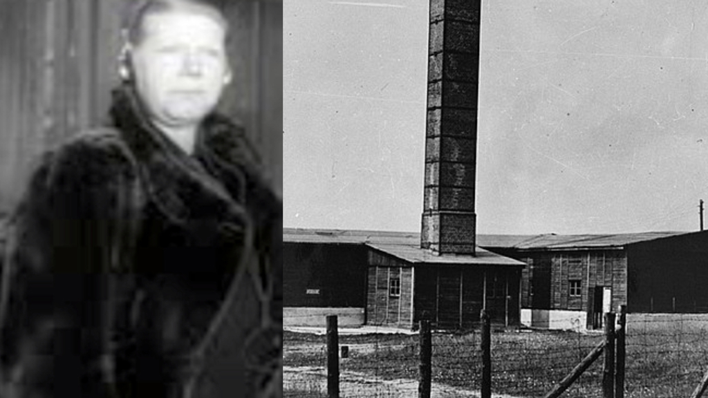 Majdanek Majdanek