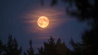 Lovecký úplněk: Magická podívaná, kterou si v říjnu nenechte ujít