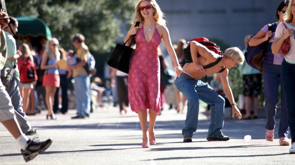 Elle Woods, Pravá blondýnka

Blonďatá právnička, která zahajuje svou kariérou a díky své inteligenci a vkusu vyvrací genderově stereotypní předsudky. Navíc ji ztvárnila Reese Whiterspoon.
