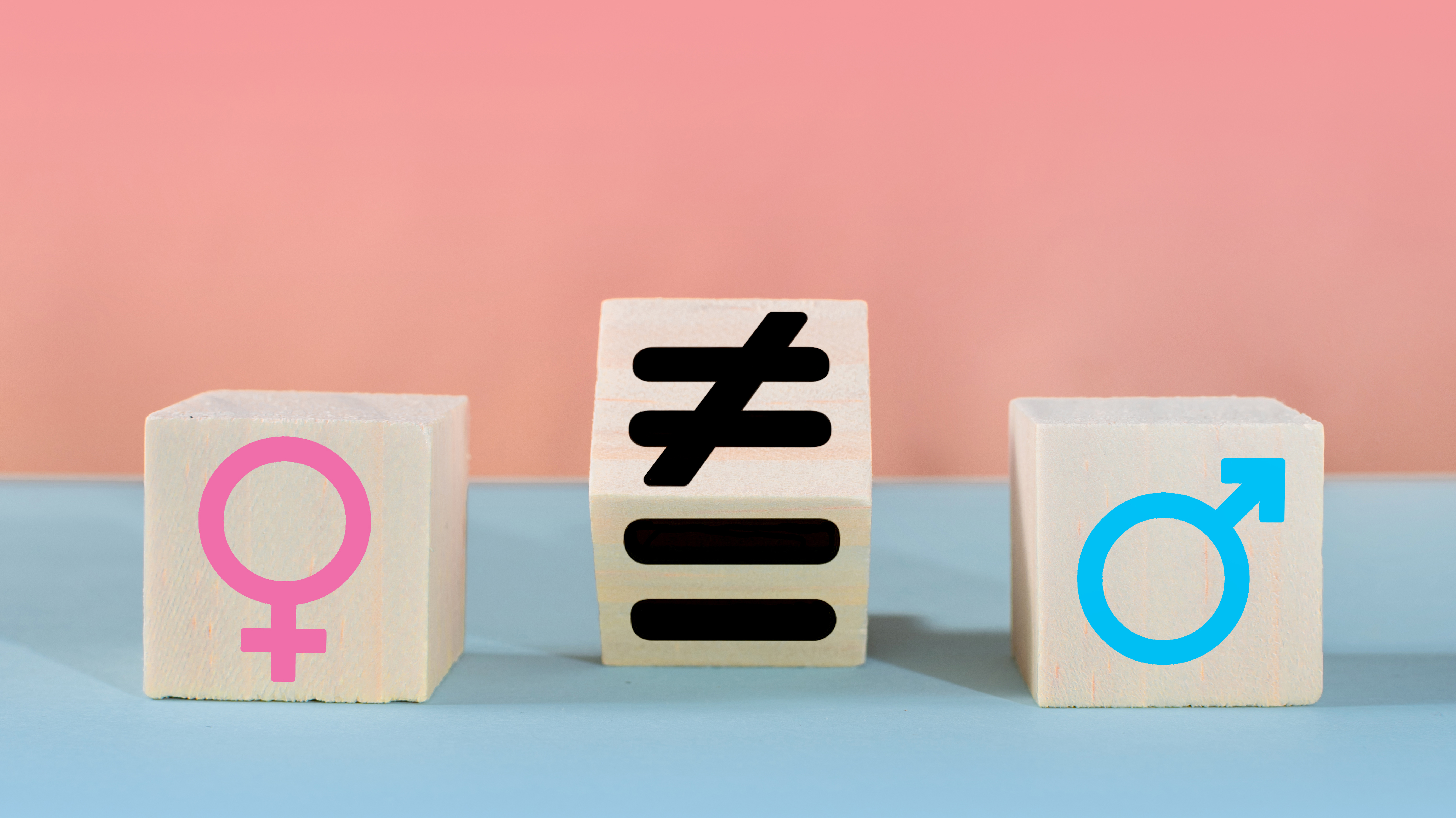 genderová nerovnost