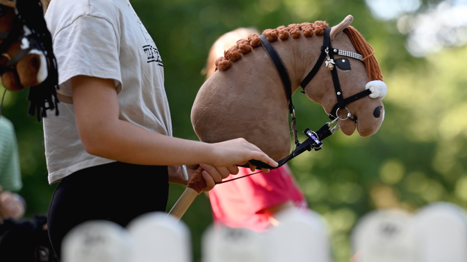 hobby horse