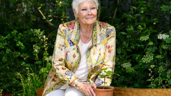 Judi Dench herečka