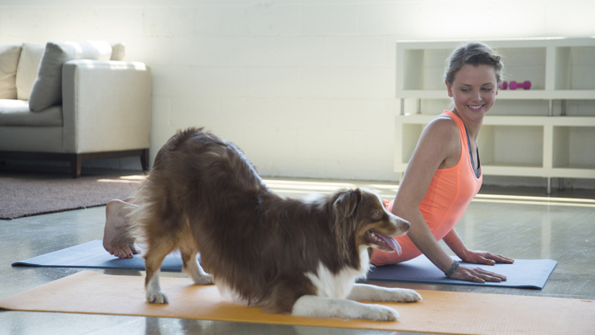 Nebaví vás cvičení? Zkuste pilates se štěňátky!