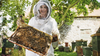 Včelí terapie jako pomocník proti stresu a úzkosti