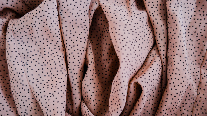 vulva