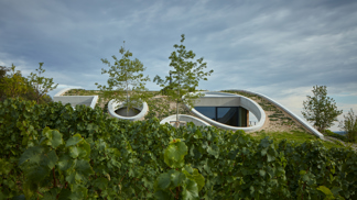 Vinařství Gurdau bylo založeno v roce 2012 na „zelené louce“ a ještě téhož roku byly vysázeny první vinice na svazích nad obcí Kurdějov. O výstavbě vinařského domu se začalo uvažovat o čtyři roky později. V loňském roce vyrostl fascinující objekt, který rozhodně stojí za pozornost. 

