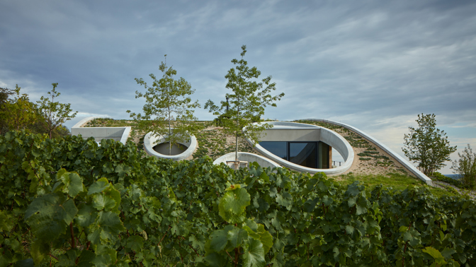 Vinařství Gurdau bylo založeno v roce 2012 na „zelené louce“ a ještě téhož roku byly vysázeny první vinice na svazích nad obcí Kurdějov. O výstavbě vinařského domu se začalo uvažovat o čtyři roky později. V loňském roce vyrostl fascinující objekt, který rozhodně stojí za pozornost. 
