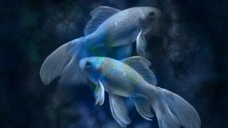 Horoskop