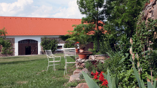 I květináč má svá práva II I květináč má svá práva II
