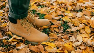 Timberland boty