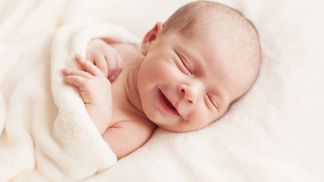 IVF iscare