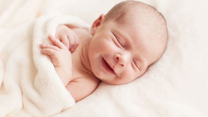 IVF iscare