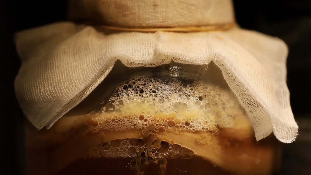 Kombucha.