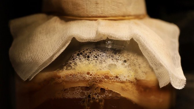 Kombucha.