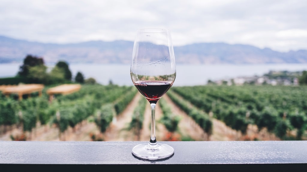 Wine Wine