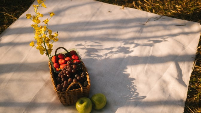 Jídlo Jídlo