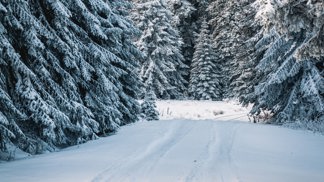 Bílá stopa aneb Kam o víkendu vyrazit na běžky?