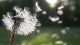 Jak najít rovnováhu ve svém životě? Zaměřte se na čtyři pilíře wellness