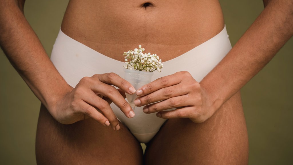 Menstruace Menstruace