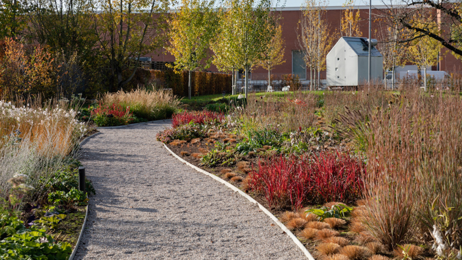 Nová zahrada Oudolf Garten zve návštěvníky na toulky mezi třicet tisíc rostlin Nová zahrada Oudolf Garten zve návštěvníky na toulky mezi třicet tisíc rostlin