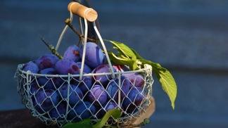 Švestky.