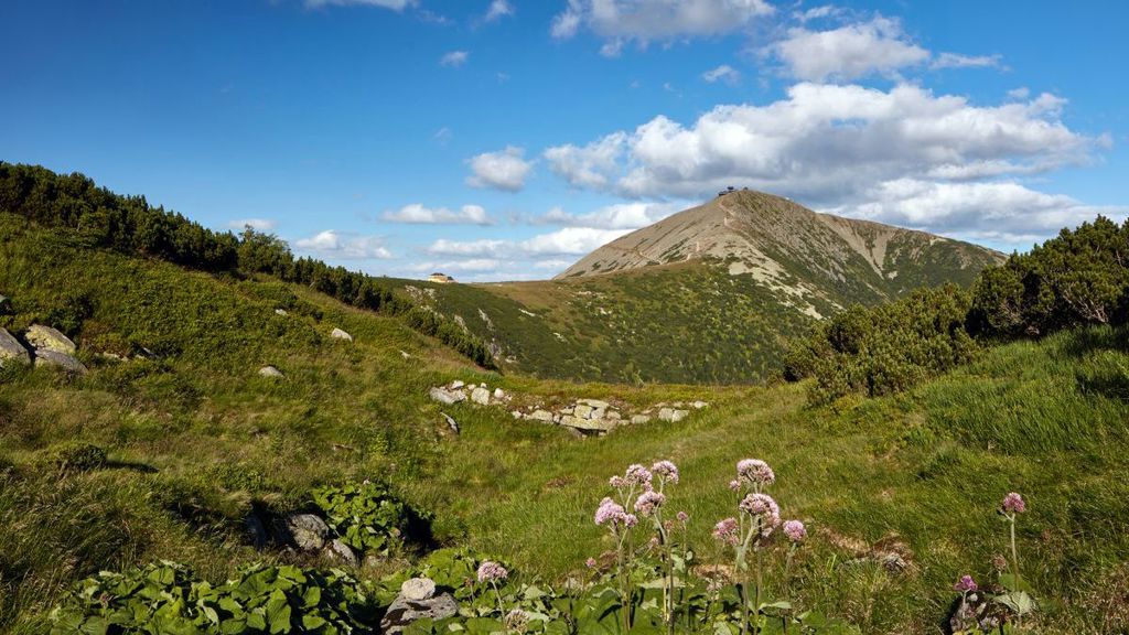 Krkonoše - Pohled na Sněžku Krkonoše - Pohled na Sněžku