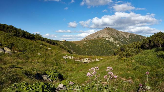 Krkonoše - Pohled na Sněžku Krkonoše - Pohled na Sněžku