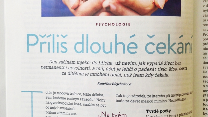 Příliš dlouhé čekání Příliš dlouhé čekání