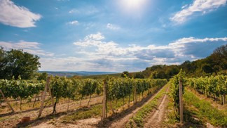 Všude dobře, doma nejlíp: Tipy na výlety a dovolené po Česku