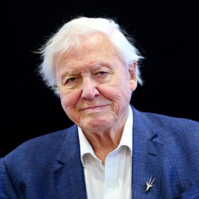 Přírodovědec a popularizátor David Attenborough slaví 8. května už sté narozeniny.