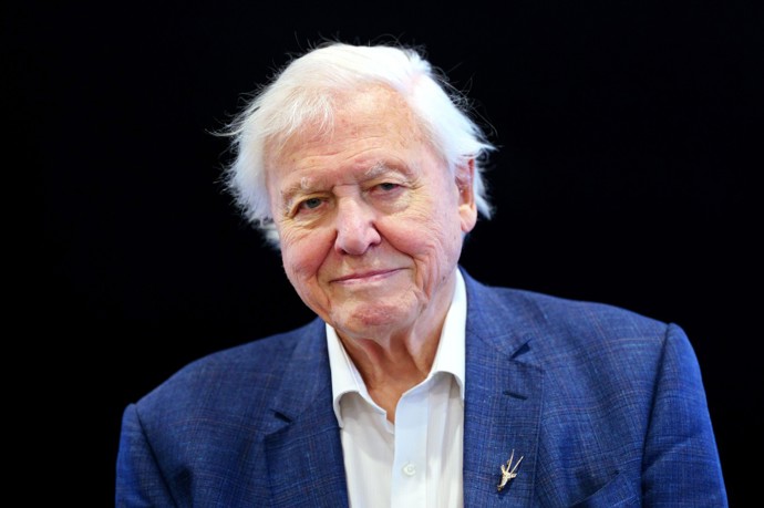 Přírodovědec a popularizátor David Attenborough slaví 8. května už sté narozeniny.