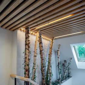 Kmeny stromů, břečťan i kameny v interiéru: Rekonstrukce stavení z roku 1811 pod taktovkou architektů Kmeny stromů, břečťan i kameny v interiéru: Rekonstrukce stavení z roku 1811 pod taktovkou architektů