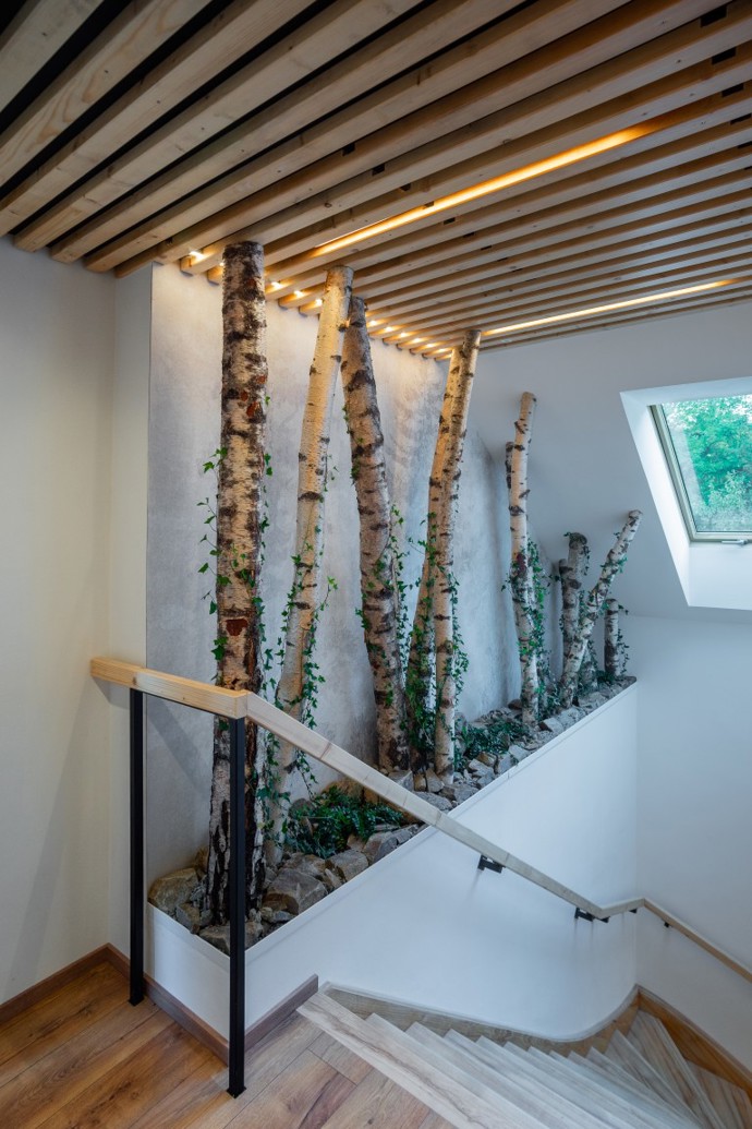 Kmeny stromů, břečťan i kameny v interiéru: Rekonstrukce stavení z roku 1811 pod taktovkou architektů