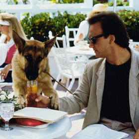 snímek z filmu K-9 2: Můj přítel se studeným čumákem (Jim Belushi)
