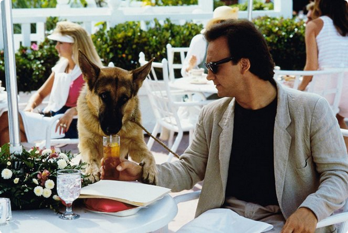 snímek z filmu K-9 2: Můj přítel se studeným čumákem (Jim Belushi)