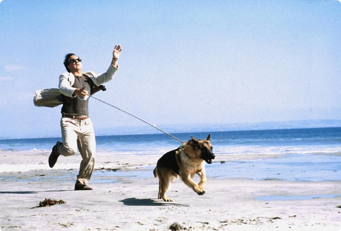 snímek z filmu K-9 2: Můj přítel se studeným čumákem (Jim Belushi)