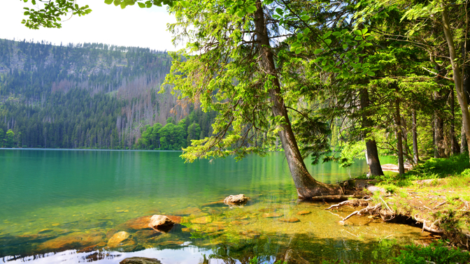 Černé jezero na Šumavě

