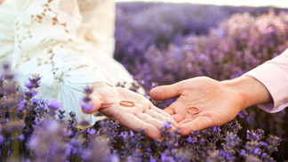 Levandulová svatba
