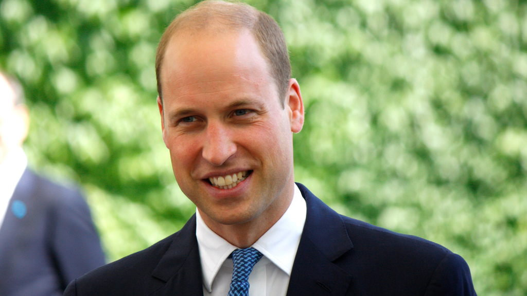 princ William princ William