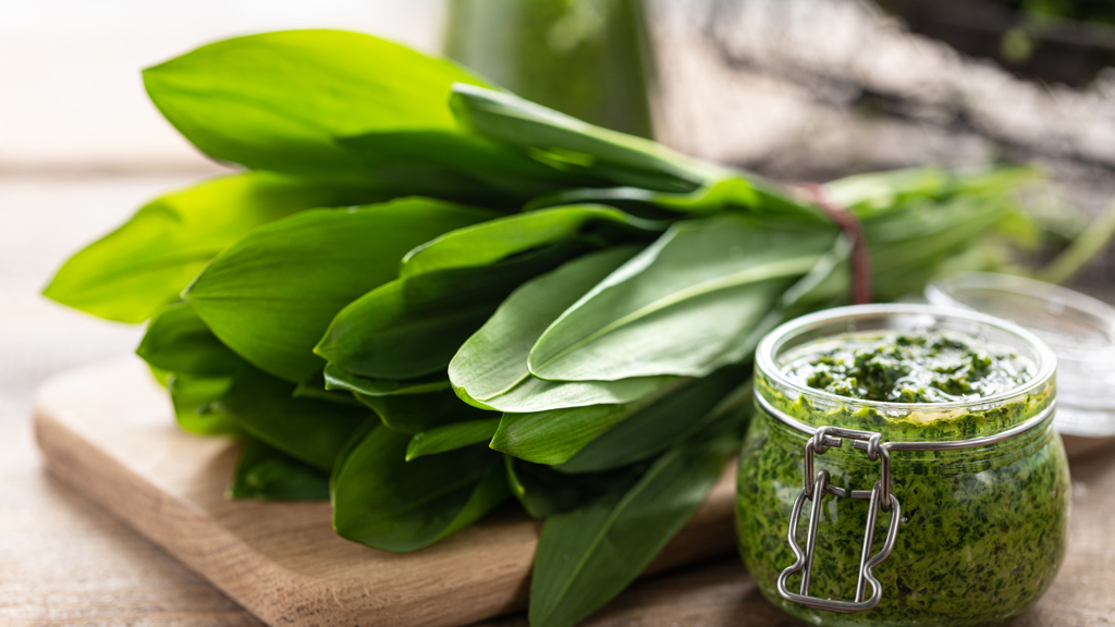 Nenápadné zelené lístky jsou zdrojem mnoha vitamínů a plné svěží chuti.
Nenápadné zelené lístky jsou zdrojem mnoha vitamínů a plné svěží chuti.
