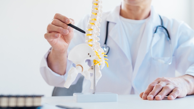 Osteoporóza nastupuje plíživě, varovné příznaky bývají přehlíženy: Rozpoznejte ty nejčastější, začínají se objevovat už po 35. roku života