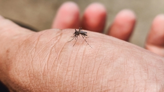 Komáři útočí podle toho, co pijete a s kým nocujete: Nová studie překvapila i vědce Komáři útočí podle toho, co pijete a s kým nocujete: Nová studie překvapila i vědce