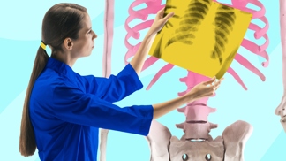 Kvíz: Lidské tělo pod drobnohledem. Jak dobře znáte biologii člověka?