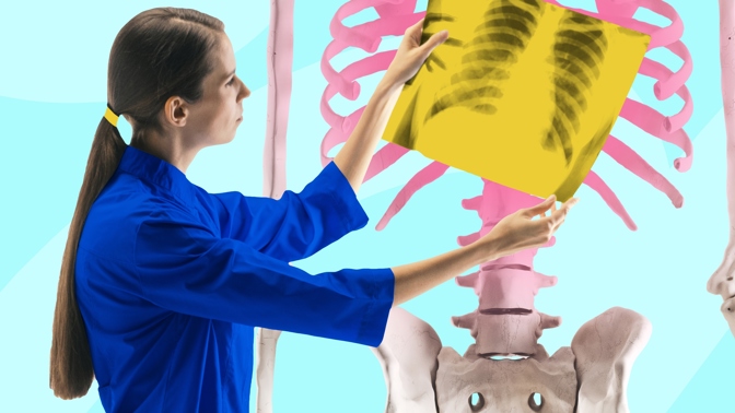 Biologie člověka - kvíz
