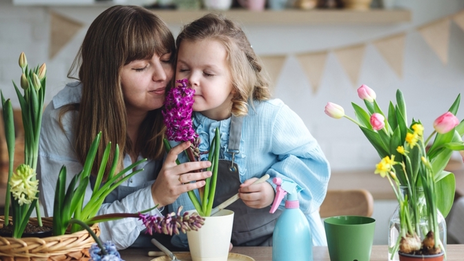 Inspirujte se s námi: Jarní cibuloviny promění vaše bydlení k nepoznání