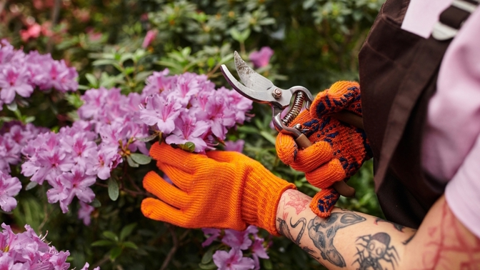 Azalky a rododendrony: Zjistěte, jak to vypadá, když jaro hraje barvami