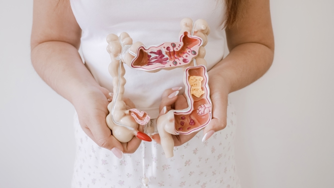 žena drží v ruce model střev