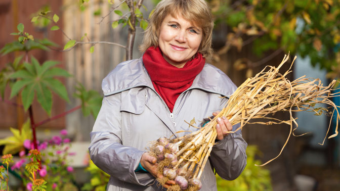 žena drží česnek