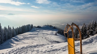 Sáňky